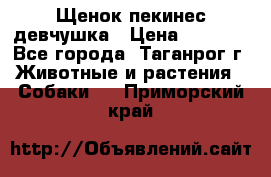 Щенок пекинес девчушка › Цена ­ 2 500 - Все города, Таганрог г. Животные и растения » Собаки   . Приморский край